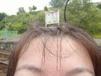�ΐK�w�@JR�k�C���@�����{���@�w�߂���ʐ^�W